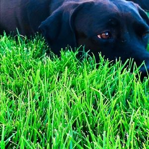 Meet your Posher, Janet